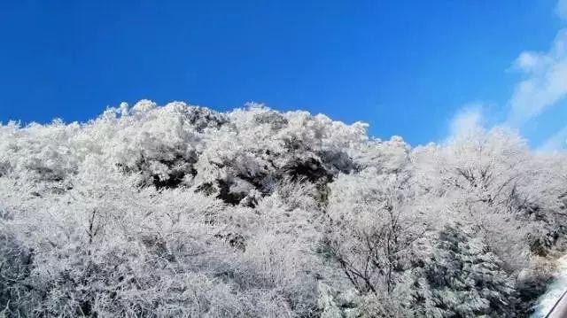 豆娃勇士3